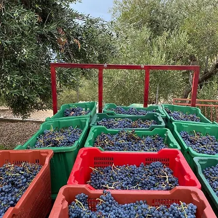 My Mediterranean With Huge Garden And Own Parking Villa *