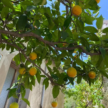 My Mediterranean With Huge Garden And Own Parking