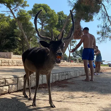 Villa My Mediterranean With Huge Garden And Own Parking