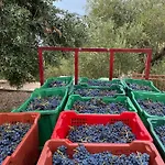 My Mediterranean With Huge Garden And Own Parking Vila *