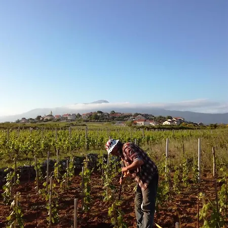 My Mediterranean With Huge Garden And Own Parking Willa Lumbarda