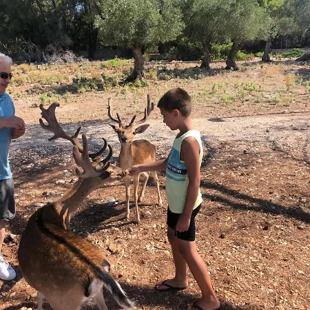 My Mediterranean With Huge Garden And Own Parking * Lumbarda