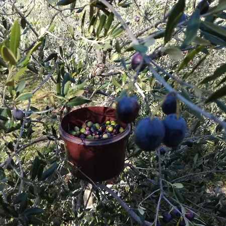 My Mediterranean With Huge Garden And Own Parking