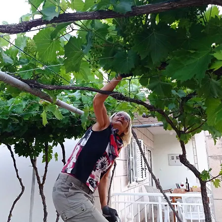 My Mediterranean With Huge Garden And Own Parking *