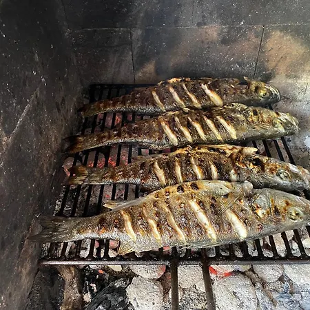 Willa My Mediterranean With Huge Garden And Own Parking *