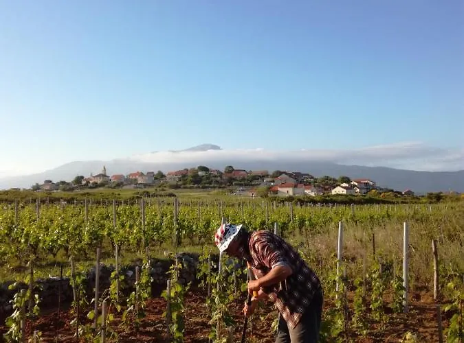 My Mediterranean With Huge Garden And Own Parking Villa Lumbarda