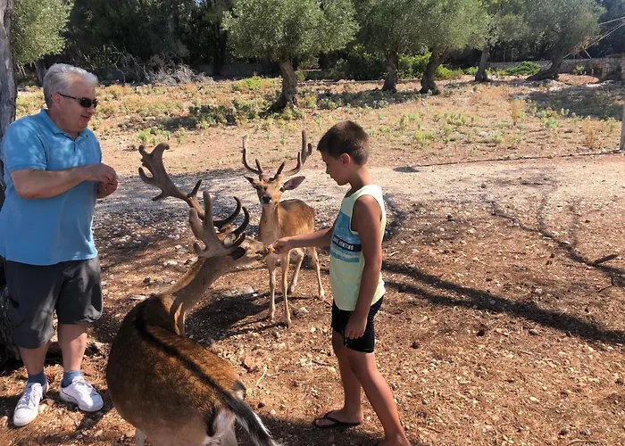 My Mediterranean With Huge Garden And Own Parking * Lumbarda