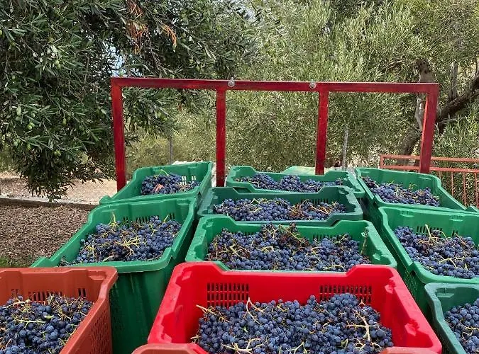 My Mediterranean With Huge Garden And Own Parking Villa *