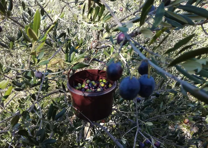 My Mediterranean With Huge Garden And Own Parking