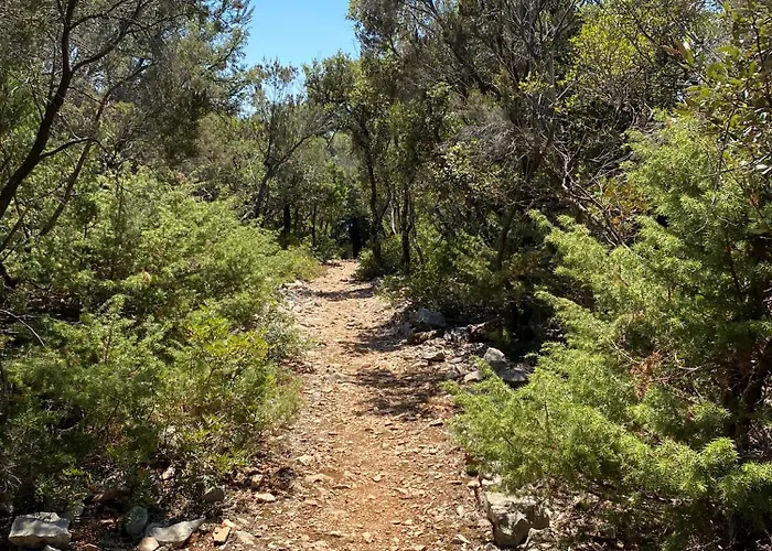 My Mediterranean With Huge Garden And Own Parking Villa Lumbarda