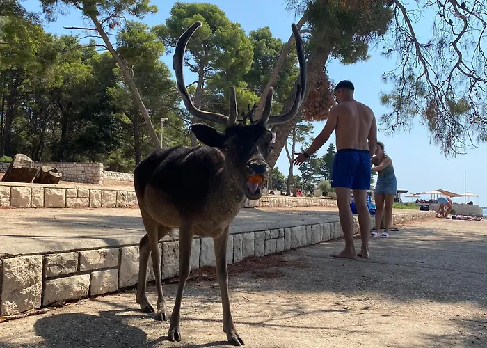 Villa My Mediterranean With Huge Garden And Own Parking